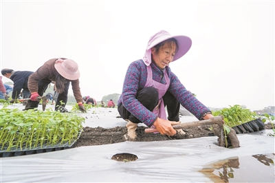 “雲端”的現代農業路線圖——威寧自治縣海拉至迤那沿線農業産業發展走筆_fororder_202506100937594hjcq5_b