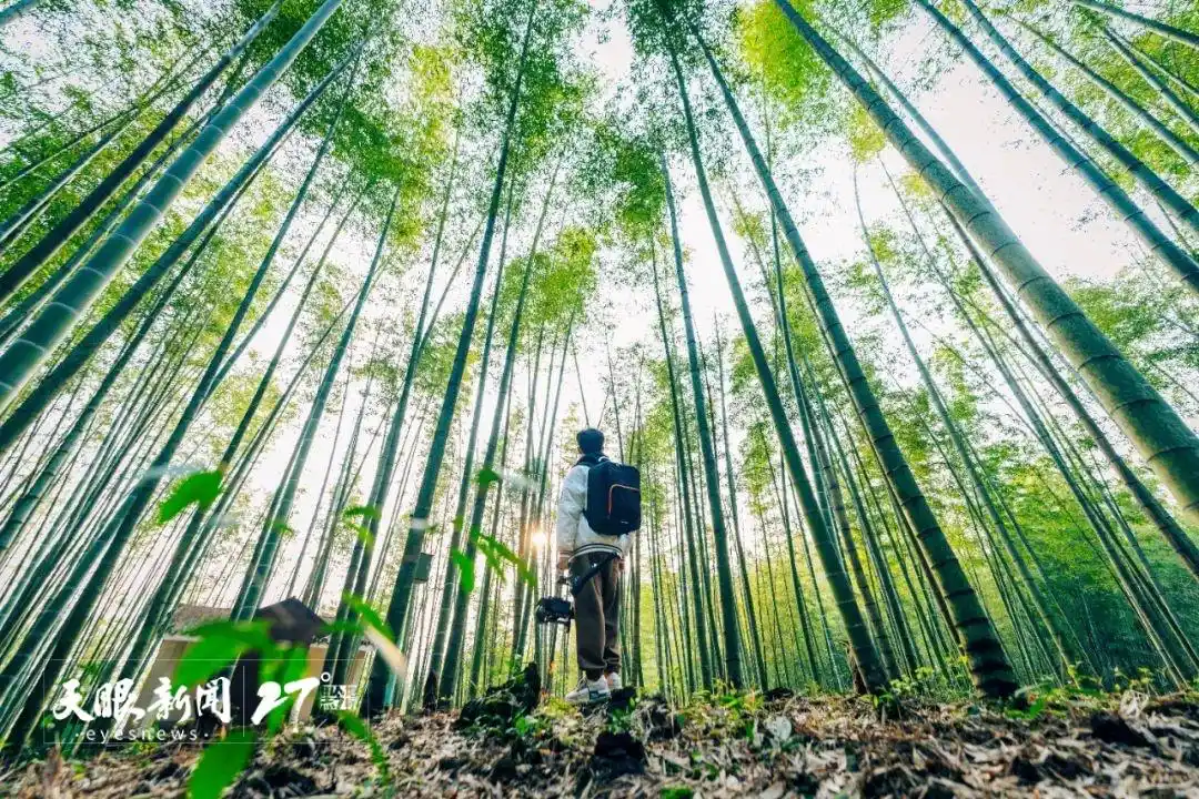 “公園省”成為天然療愈場｜貴州避暑康養産業升級