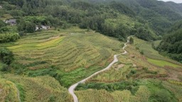 貴州稅務牽頭幫扶道真縣 譜寫“三農”發展新篇章