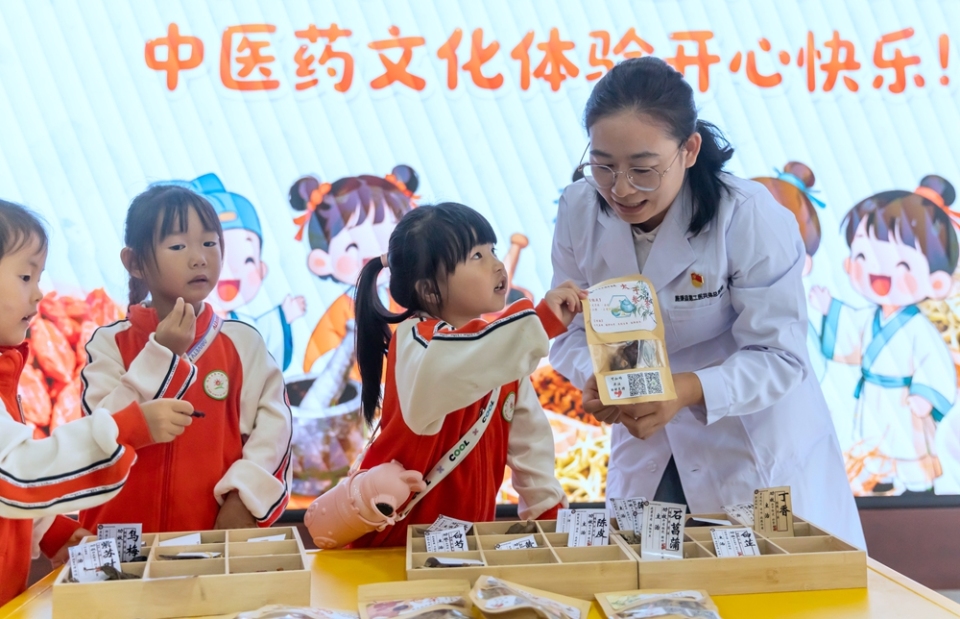 貴州施秉：課外實踐感受中醫文化獨特魅力_fororder_2025年9月25日，貴州省黔東南苗族侗族自治州施秉縣第四幼兒園的學生在施秉縣民族中醫院醫生的指導下學習認識中草藥。（磨桂賓 攝） (1)