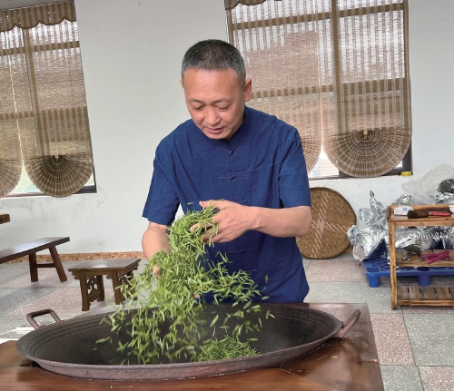 枝頭綠意濃　産業“成色”足——貴州省都勻市國家現代農業産業園培優新主體引領茶産業發展_fororder_wKhqDmhDNn6ANSctAAMa0qJ67PI628