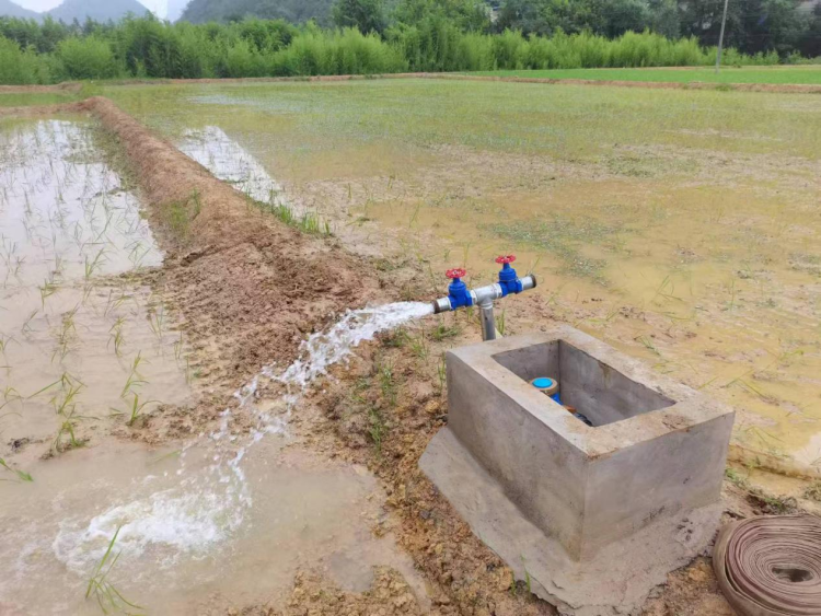 獨山:農業水價綜合改革推動壩區農業生産節水降本增效