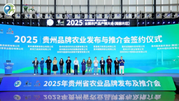 2025貴州綠茶産銷對接會簽約超500萬元