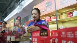 展會受追捧，貴州酸湯“征服”萬千餐桌