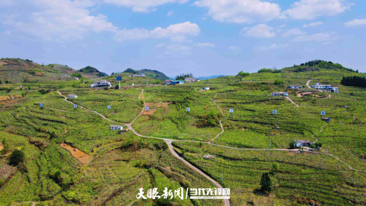貴州縣域的“土”裡長出金鏈條_fororder_17439797565678