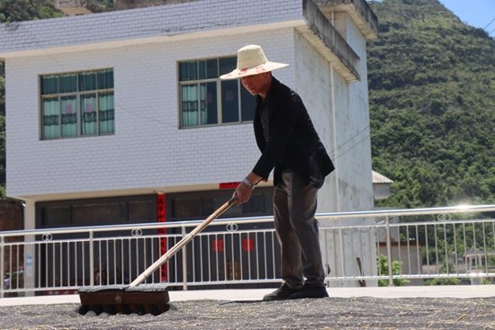 貴州獨山縣：油菜豐收 産業振興_fororder_20250513131641-Q18Pck-