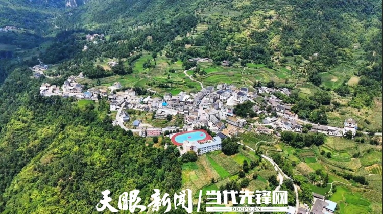 螢火微光 願為其芒 ——駐村幹部唐元熙人物素描（二）
