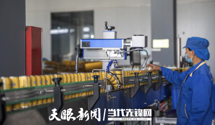 貴州刺梨汁批量出口馬來西亞