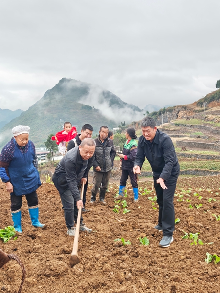貴州仁懷：30萬畝冬閒田不閒 “高粱+”輪作土地生金_fororder_仁懷市各地還組織農技專家深入田間地頭，開展全週期技術指導服務