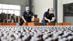 貴州丹寨：創新智造雙輪驅動 衝刺四季度幹勁足