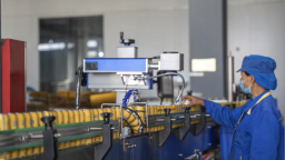 貴州刺梨汁批量出口馬來西亞