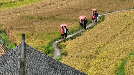 貴州丹寨：非遺周開幕在即 揚武精心“盛裝”以待_fororder_丹寨縣揚武鎮婚俗文化方陣排練隊形