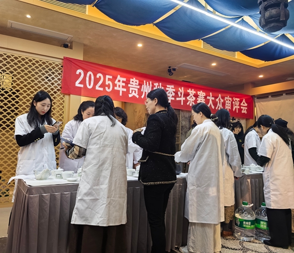 2025貴州秋茶鬥茶賽大眾評審掀起“舌尖風暴”_fororder_3