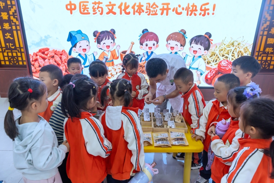 貴州施秉：課外實踐感受中醫文化獨特魅力_fororder_2025年9月25日，貴州省黔東南苗族侗族自治州施秉縣第四幼兒園的學生在施秉縣民族中醫院醫生的指導下學習認識中草藥。（磨桂賓 攝） (2)