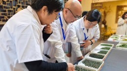 2025年貴州省秋季鬥茶賽專家審評會啟幕