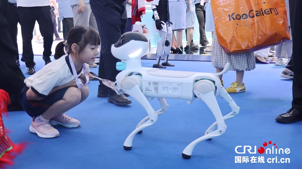 2025數博會 | 未來已來！無人機足球賽 機器人打八段錦 貴陽變身科幻現場_fororder_人機互動4.JPG
