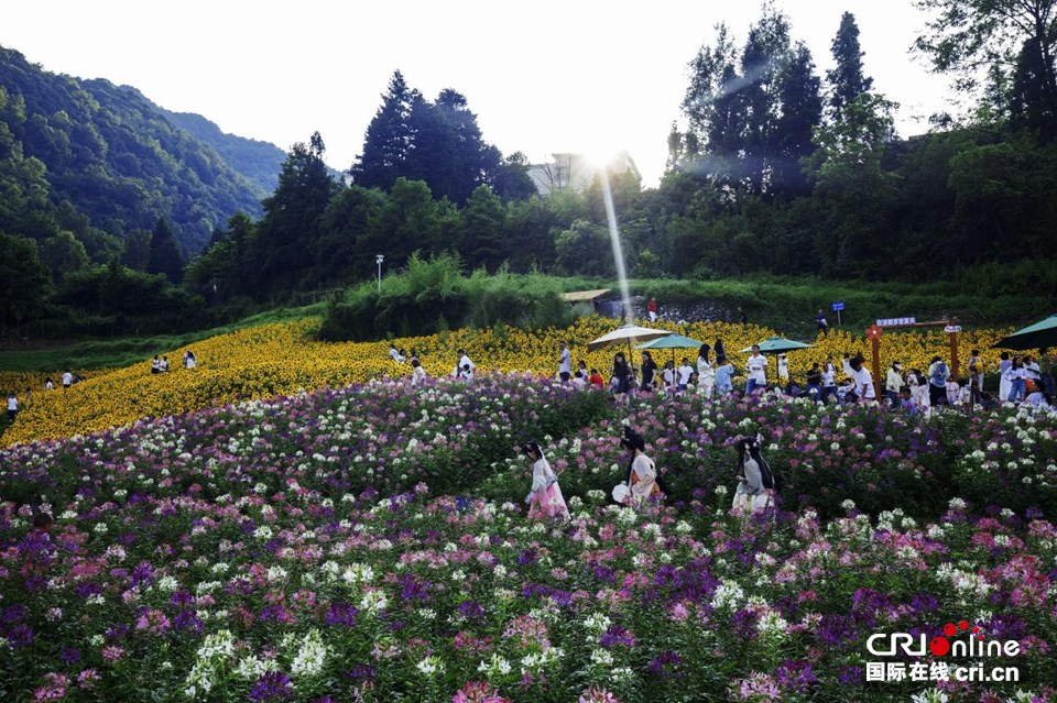 貴州六盤水：避暑賓客瑤池明湖花海樂園話清涼_fororder_99d66aaf4d4447238a37a701c2410e6f.960x639