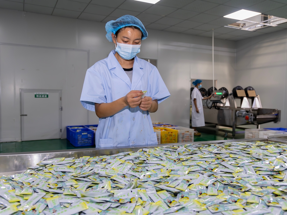 貴州羅甸：農産品加工忙_fororder_2025年8月26日，工人在貴州省黔南布依族苗族自治州羅甸縣邊陽鎮貴州山味鮮生食品科技有限公司加工食品。 (1)