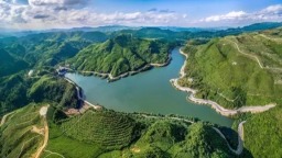 粵貴花開在黔南 | 廣黔攜手讓“黔茶名片”更亮，茶農家門口增收