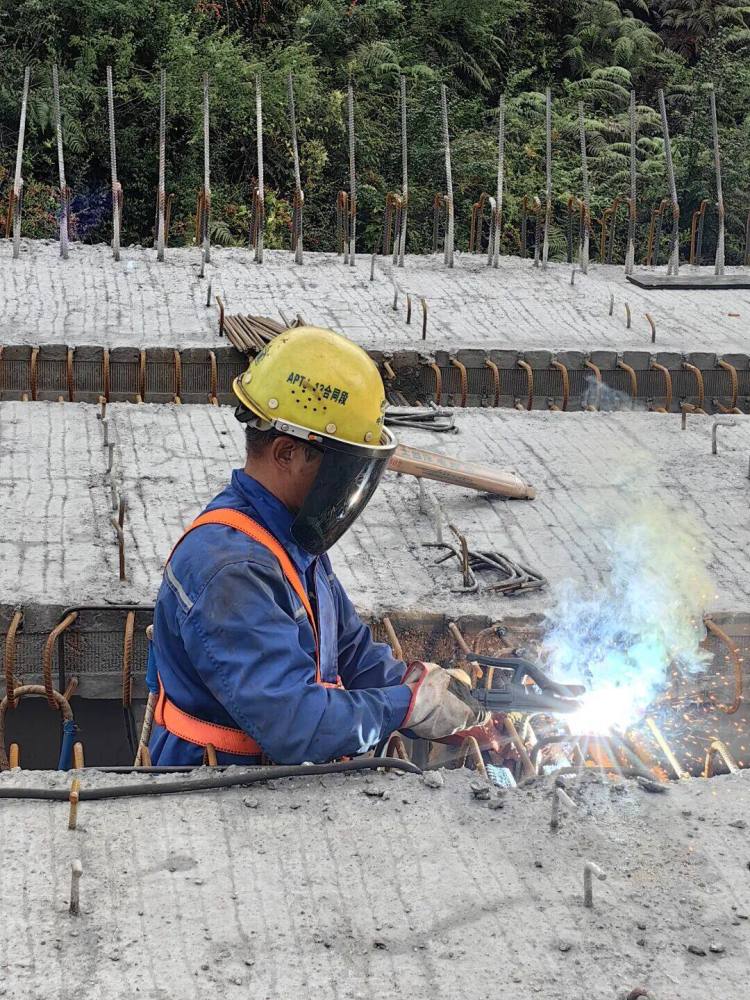 來自安盤高速建設工地的報道丨巨龍穿越“花木樹”