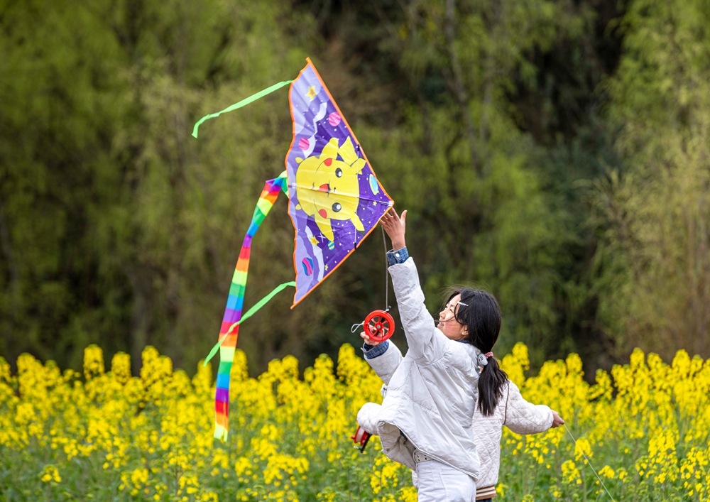 貴州黔西：春光無限好 賞花正當時_fororder_2025年3月15日，遊客在貴州省畢節市黔西市洪水鎮鄉村旅遊景區油菜花田裏放風箏。4T9A4084.JPG