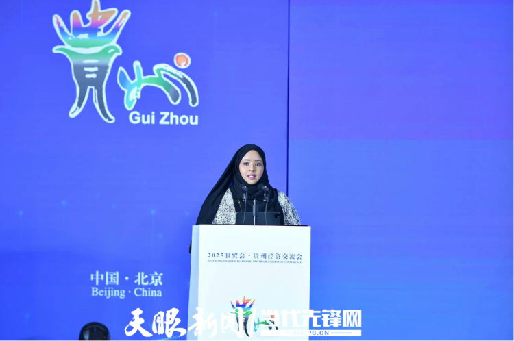 在連結全球中共享開放機遇｜貴州代表團參加2025年服貿會觀察