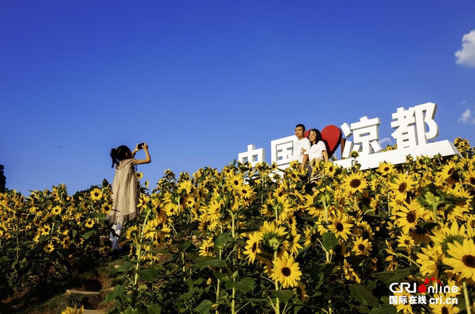 貴州六盤水：避暑賓客瑤池明湖花海樂園話清涼_fororder_10b150310d9a4c5883493d03c1e51bfb.960x635