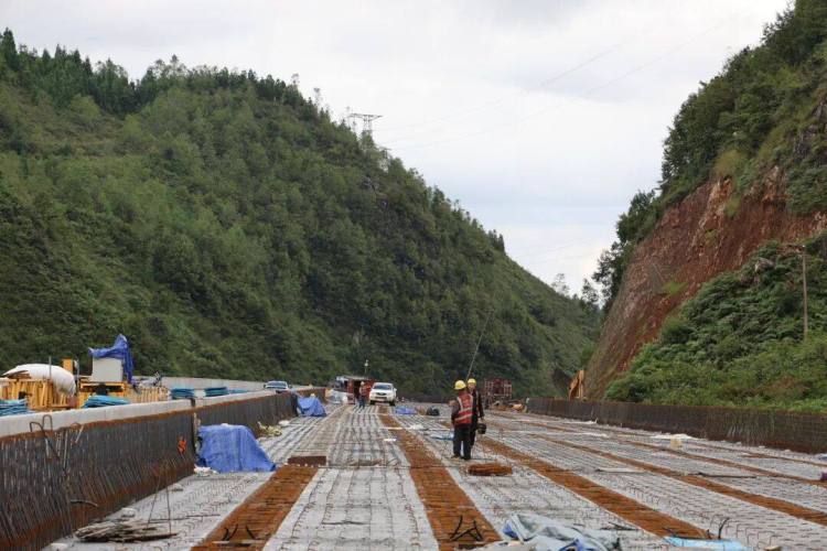 來自安盤高速建設工地的報道丨巨龍穿越“花木樹”