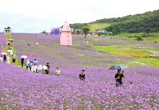 “康養水城·清涼一夏”避暑季啟幕 貴州水城以多元體驗迎八方賓客_fororder_微信圖片_20250508120724