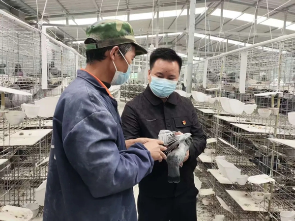 貴州正安：林下養殖蹚出生態致富新路子_fororder_4