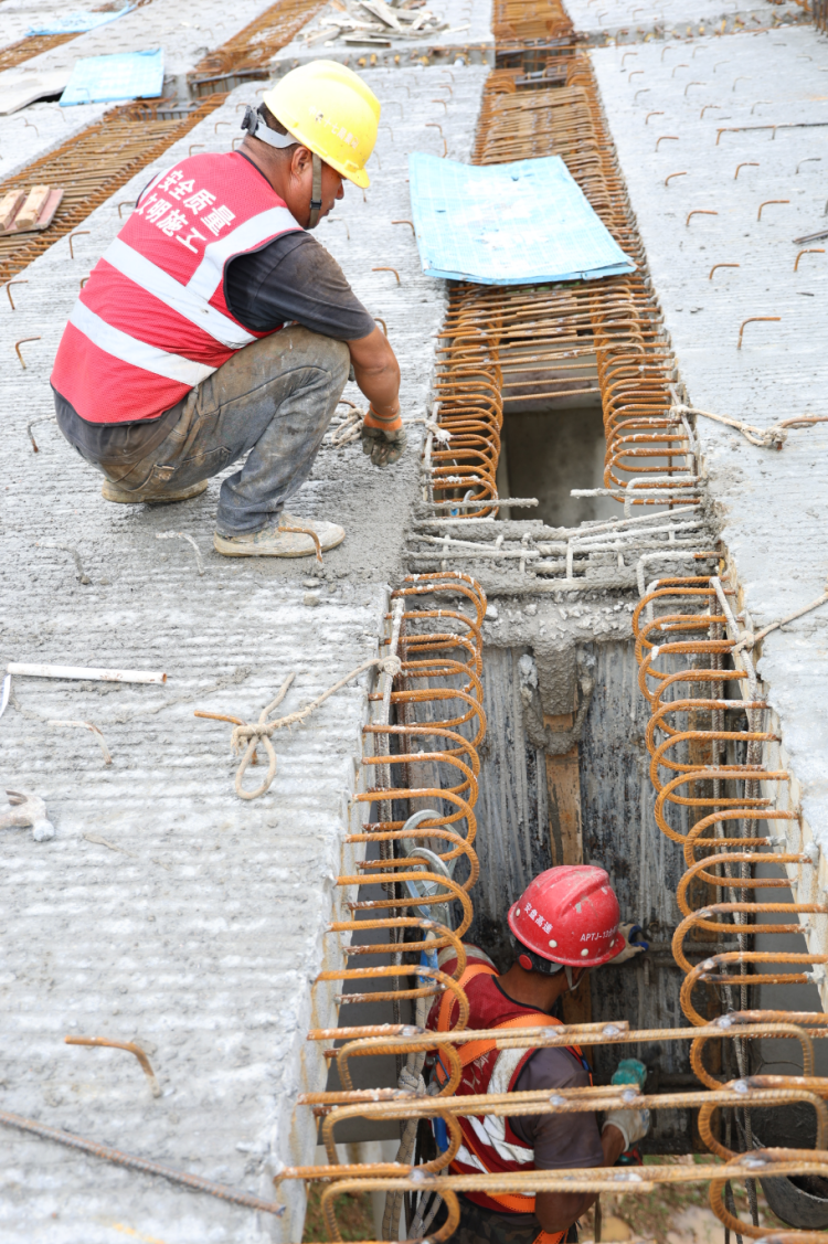 來自安盤高速建設工地的報道丨巨龍穿越“花木樹”