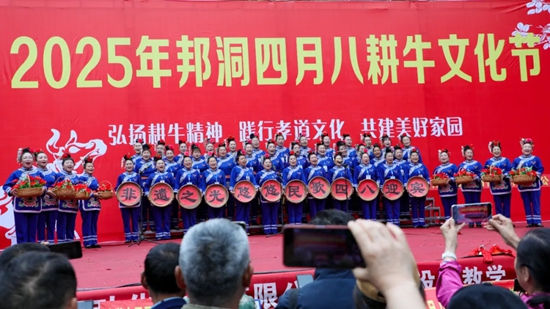 貴州天柱“四月八耕牛文化節” 奏響民俗新樂章_fororder_640 (1)