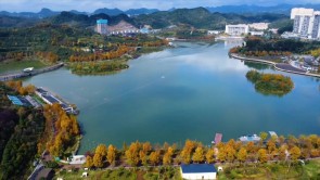 秋染白鷺湖：遵義新蒲新區藏著的詩意畫卷