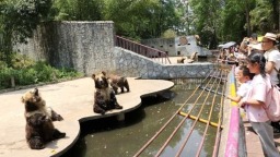 貴陽修文“五一”假期特色文旅火熱 實現綜合旅遊收入近4億元