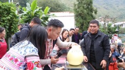 六盤水市水城區新街鄉柚子節甜蜜爆棚：5.16千克“柚王”誕生 村民遊客共享豐收狂歡