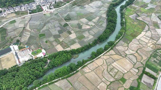 貴州平塘：土地“託管” 繪就糧食增産增收新圖景_fororder_田園風光