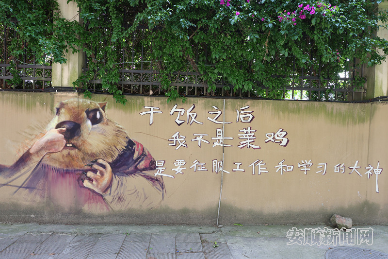 貴州關嶺：繽紛墻繪為城市增“顏值”_fororder_2104-20250513-a9c2f677257d4dba982d23c6176040aa