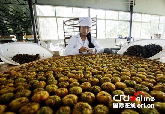 貴州盤州：以茶為媒繪就鄉村振興新畫卷_fororder_圖片2