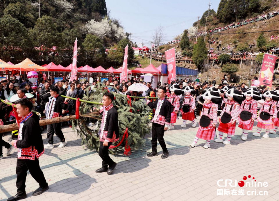 六盤水市六枝特區梭戛鄉舉行苗族“跳花節”活動_fororder_圖片3