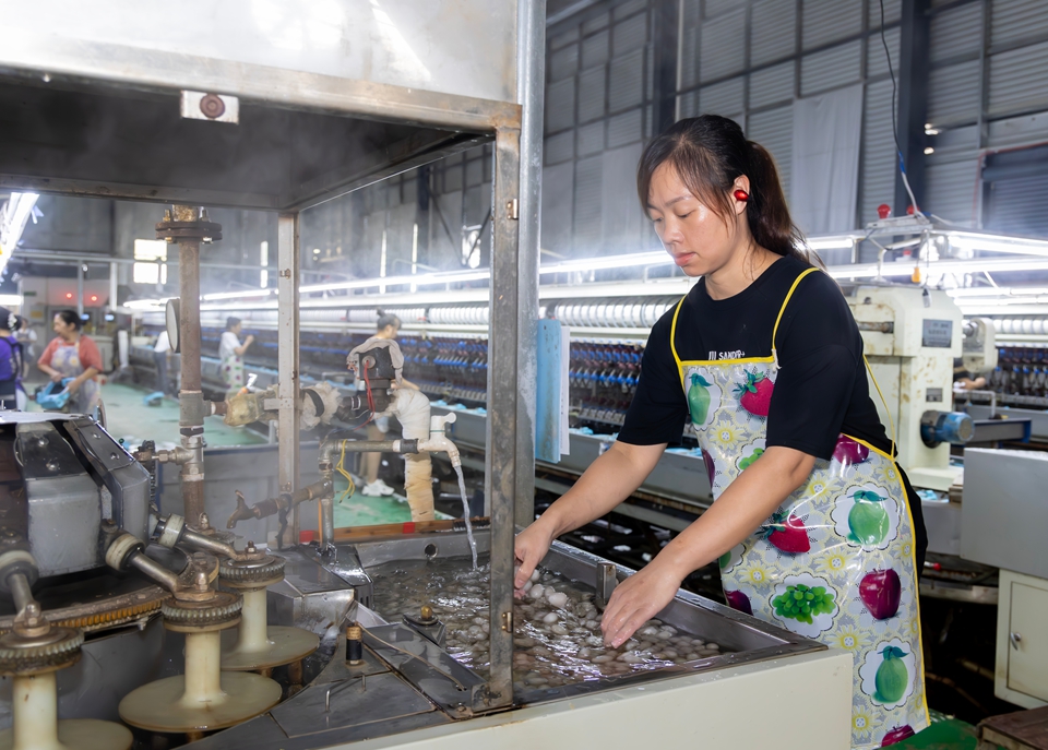 貴州羅甸：農産品加工忙_fororder_2025年8月26日，工人在貴州省黔南布依族苗族自治州羅甸縣邊陽鎮貴州絲緣蠶業科技有限公司加工蠶絲。 (7)