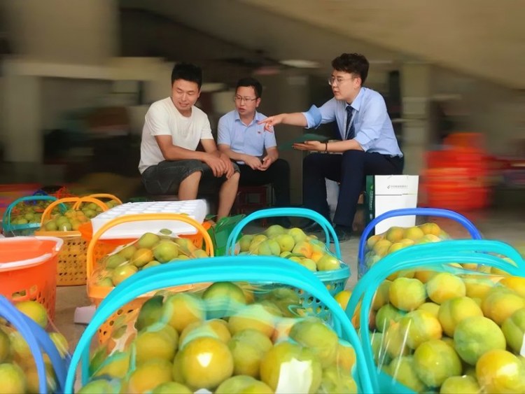 金融活水潤澤“綠寶石” 郵儲銀行安順市分行精準滴灌蜂糖李産業_fororder_11