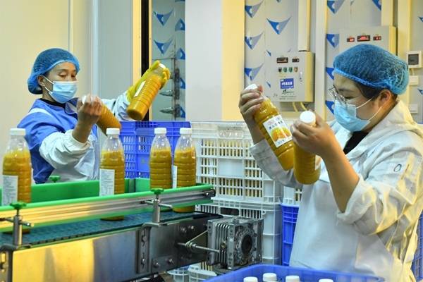 貴州羅甸:企業復工復産忙 全力衝刺首季“開門紅”_fororder_貴州産地農業科技有限公司員工進行産品貼標作業