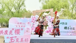 花綻京華 茶韻流芳，貴州在京奏響文化“三重奏”