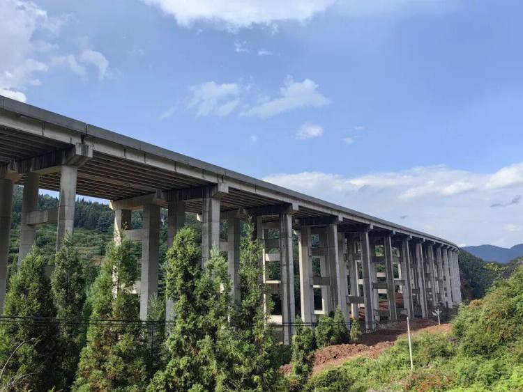 來自安盤高速建設工地的報道丨巨龍穿越“花木樹”