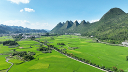 守好“兩條底線” 拓寬“兩山”轉化路｜“轉”出美麗貴州新風采