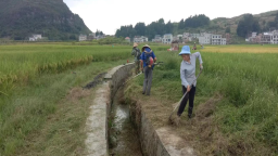 獨山：農業水價綜合改革推動壩區農業生産節水降本增效