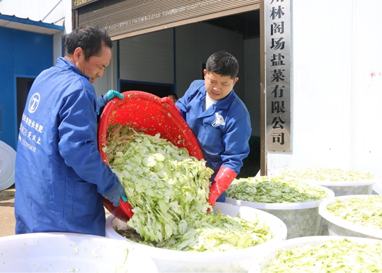 貴州仁懷：舌尖鄉愁變身鄉村振興“金鑰匙”_fororder_微信圖片_20250611165614