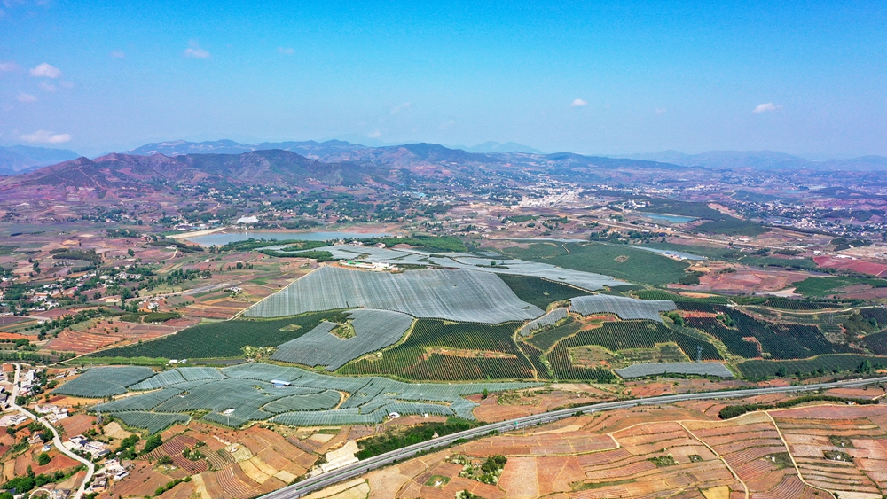 貴州威寧自治縣：農業産業編織“夏日田園畫”_fororder_威寧産投生態果業有限責任公司的蘋果基地（迤那鎮海升蘋果基地）（無人機照片  岳剛   攝） (1)