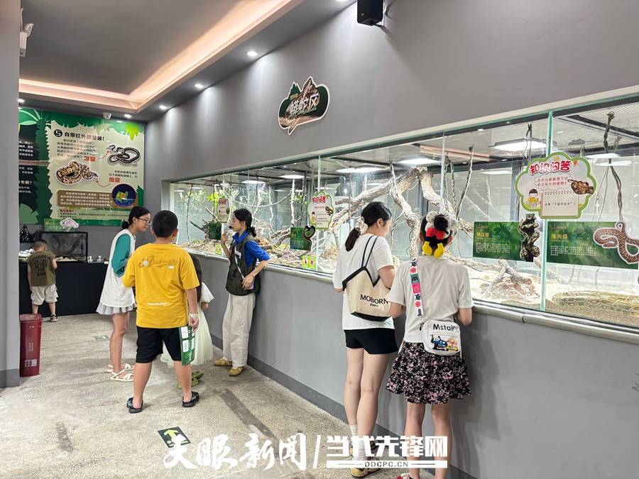 工業遺産如何活化利用？到貴州看紅磚墻裏的“時光疊影”！