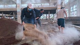 貴州仁懷：重陽下沙正當時 恪守工藝釀造忙